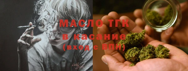 гашик Няндома