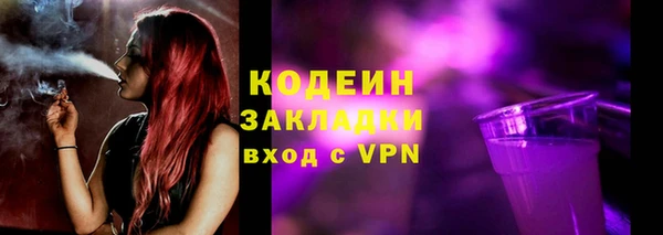 гашик Няндома
