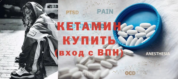 гашик Няндома
