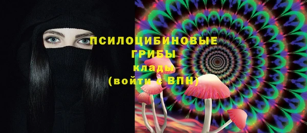 соль ск Нягань