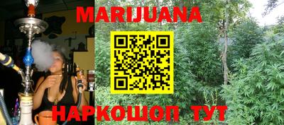 крисы Бийск