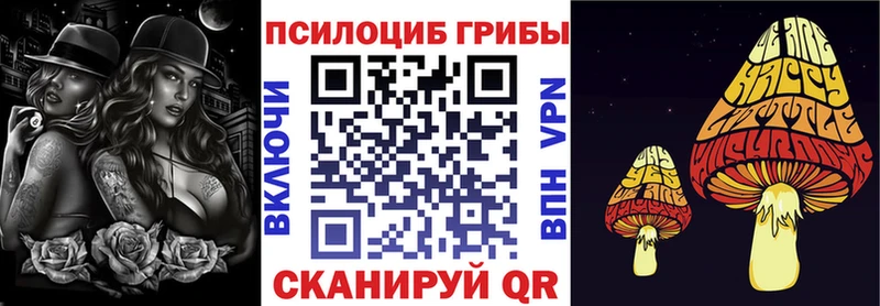 где найти наркотики  Скопин  Псилоцибиновые грибы прущие грибы 
