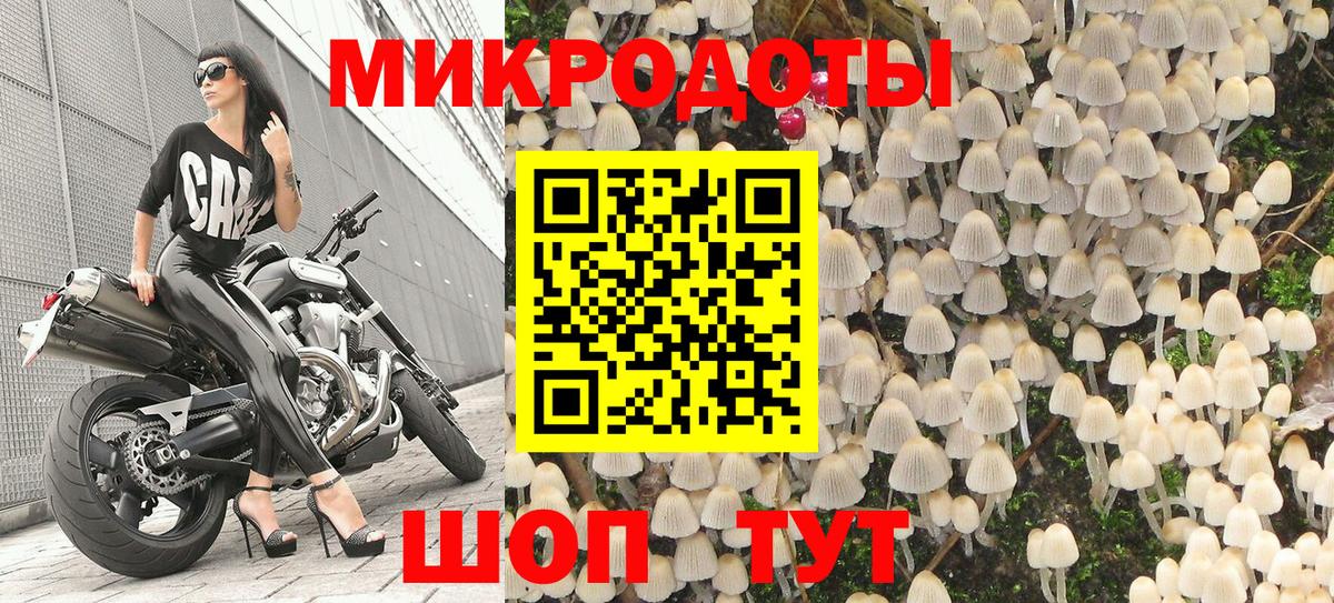 Псилоцибиновые грибы GOLDEN TEACHER Скопин